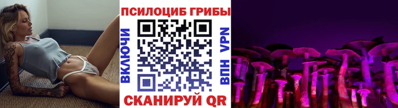 Псилоцибиновые грибы Cubensis  ОМГ ОМГ ссылки  Тобольск 