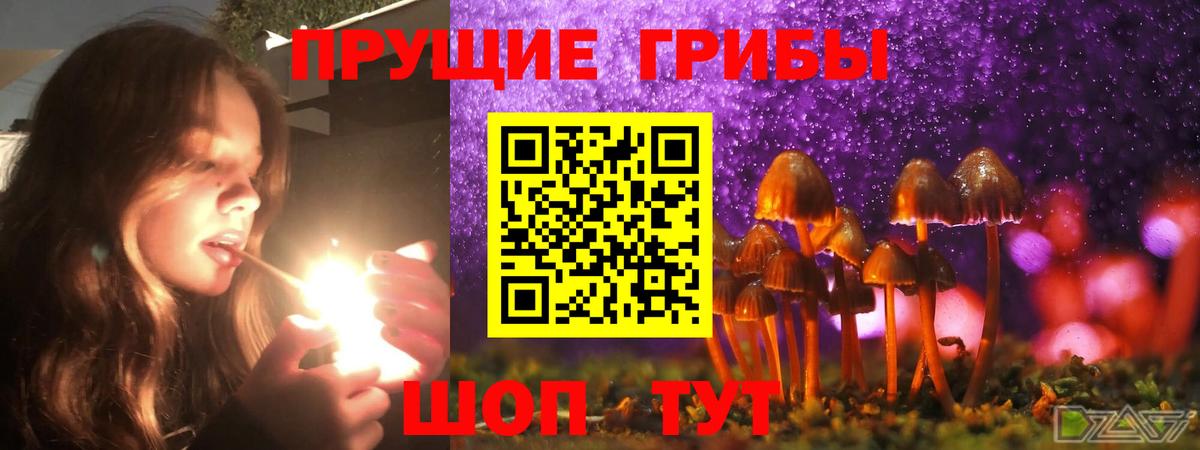 Тобольск  Галлюциногенные грибы мухоморы  Вход с VPN 