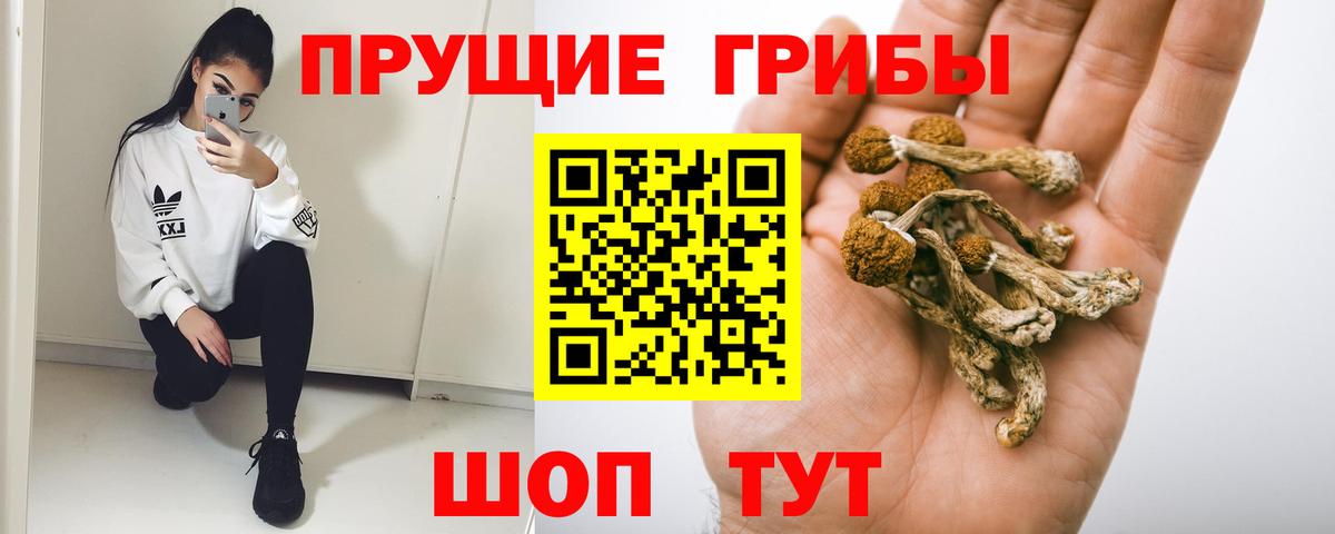 Галлюциногенные грибы GOLDEN TEACHER Тобольск